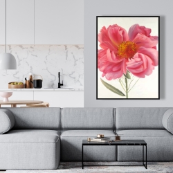 Encadré 36 x 48 - Fleur de pivoine rose