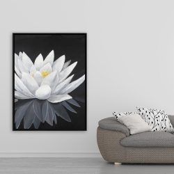 Encadré 36 x 48 - Fleur de lotus et sa réflexion