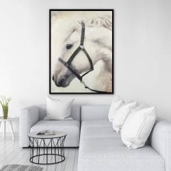 Encadré 36 x 48 - Darius le cheval blanc