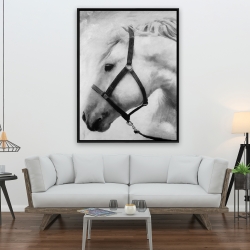 Framed 36 x 48 - Darius the horse