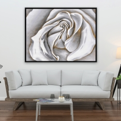 Encadré 36 x 48 - Centre d'une rose blanche