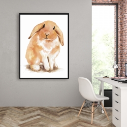 Encadré 36 x 48 - Lapin bélier