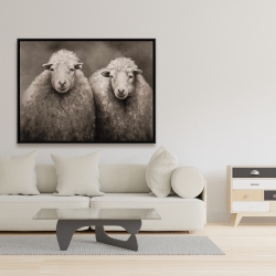 Framed 36 x 48 - Sheep sepia