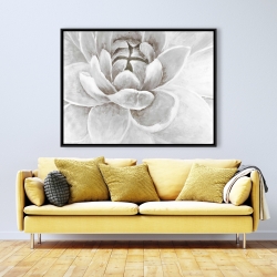 Encadré 36 x 48 - Delicate chrysanthème blanche