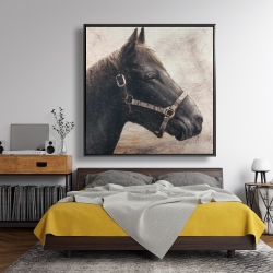 Framed 48 x 48 - Gallopin the brown horse