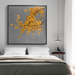 Framed 48 x 48 - Golden wattle plant with pugg ball flowers