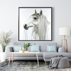 Framed 48 x 48 - Beautiful white horse