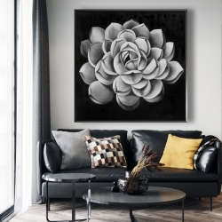 Framed 48 x 48 - Black and white succulent