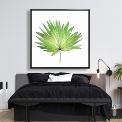 Framed 48 x 48 - Petticoat palm