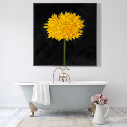 Encadré 48 x 48 - Chrysanthème jaune