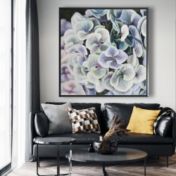 Encadré 48 x 48 - Fleurs d'hortensia colorées