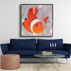 Framed 48 x 48 - Clownfish under the sea