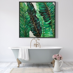 Encadré 48 x 48 - Feuilles de plantes exotiques