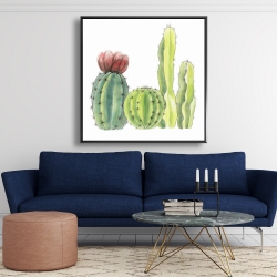 Framed 48 x 48 - Four little cactus