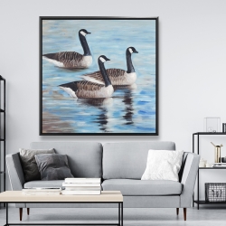 Framed 48 x 48 - Canada geese in water