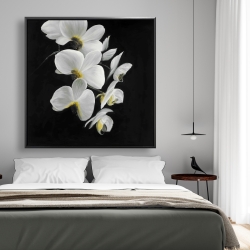 Framed 48 x 48 - Beautiful orchids