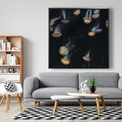 Framed 48 x 48 - Colorful jellyfishes swimming in the dark