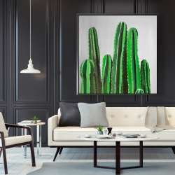 Encadré 48 x 48 - Cactus cierges