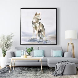 Framed 48 x 48 - Wolf