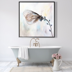 Framed 48 x 48 - Butterfly on blue flowers