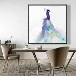 Framed 48 x 48 - Abstract peacock in watercolor