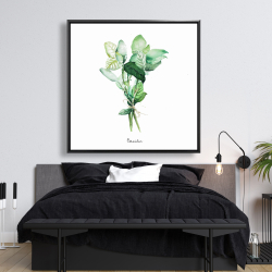 Framed 48 x 48 - Tied up basil leaves bundle - fr