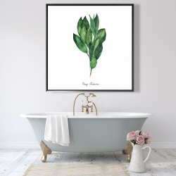 Framed 48 x 48 - Bay leaves bundle -en