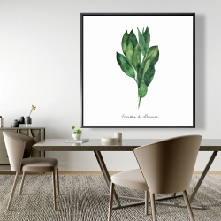 Framed 48 x 48 -  bay leaves bundle - fr