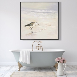 Framed 48 x 48 - Semipalmated sandpiper on the beach