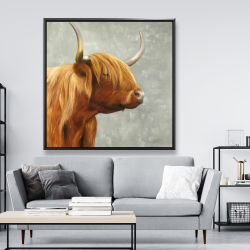 Framed 48 x 48 - Beautiful higland cattle
