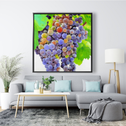 Encadré 48 x 48 - Bouquet de raisins