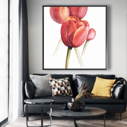 Framed 48 x 48 - Blossoming tulips closeup