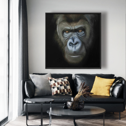 Framed 48 x 48 - Gorilla face