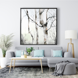 Framed 48 x 48 - Three birches trees