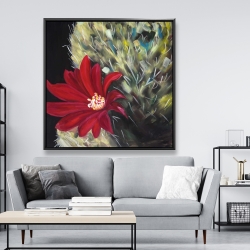 Encadré 48 x 48 - Fleur rouge de cactus echinopsis