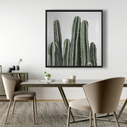 Encadré 48 x 48 - Cactus bougie du désert