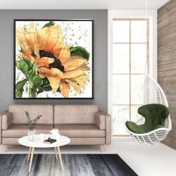 Encadré 48 x 48 - Tournesol en fleuraison