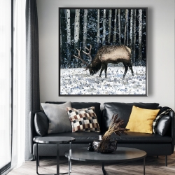 Encadré 48 x 48 - Caribou dans la forêt d'hiver