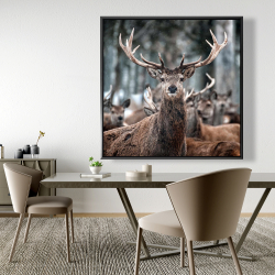 Encadré 48 x 48 - Cerfs