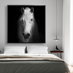 Framed 48 x 48 - Monochrome horse