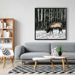 Framed 48 x 48 - Caribou in the forest