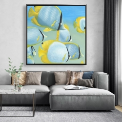 Framed 48 x 48 - Butterfly fishes