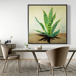 Encadré 48 x 48 - Plante succulente langue de belle-mère