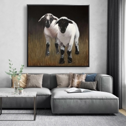 Framed 48 x 48 - Two lambs