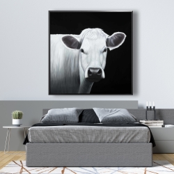 Framed 48 x 48 - White cow