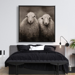 Framed 48 x 48 - Sheep sepia