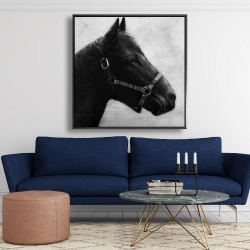 Framed 48 x 48 - Gallopin the horse