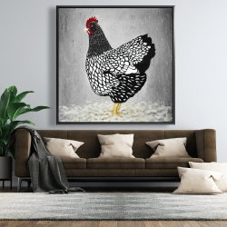 Framed 48 x 48 - Black and white wyandotte hen