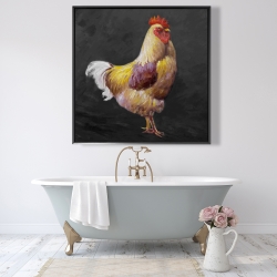 Framed 48 x 48 - Beautiful rooster 2