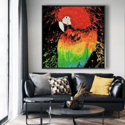 Encadré 48 x 48 - Perroquet arc-en-ciel